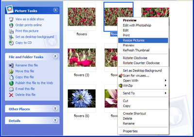 En el área Picture Tasks con la opción Resize Pictures abierta