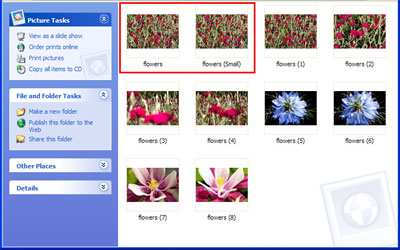 Se ha añadido una imagen nueva y con otro tamaño a la misma carpeta flores (Small).jpg